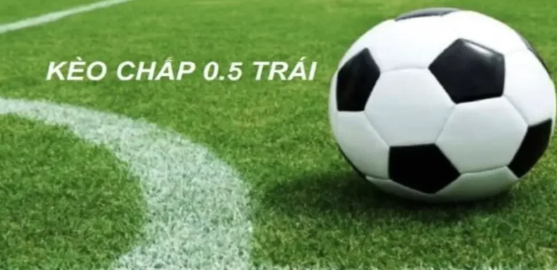 Giải đáp chi tiết kèo chấp nửa trái tại De bet 